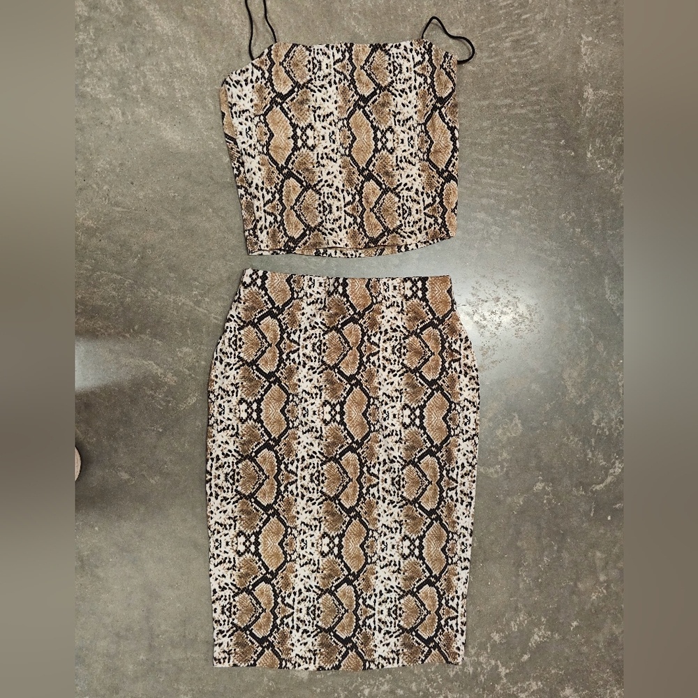 Snake Print Skirt and Top Set